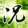 《巫师3》杰洛特香艳cos 娇妻环绕左拥右抱